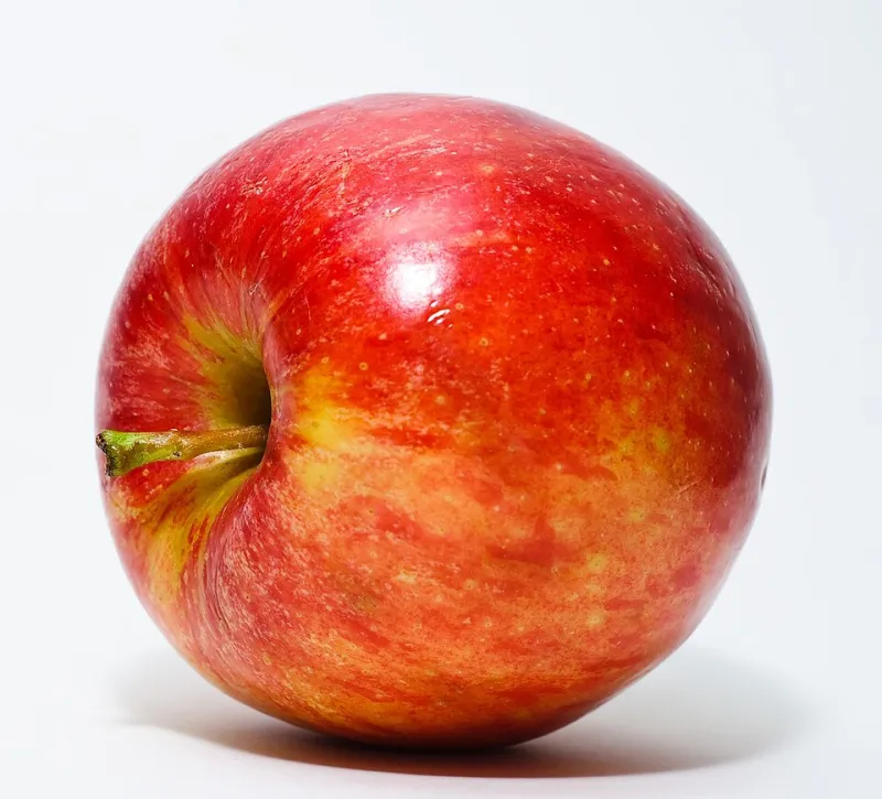 One Bad Apple, One Low-Hanging Branch: The Fruit Bowl of American Business Idioms