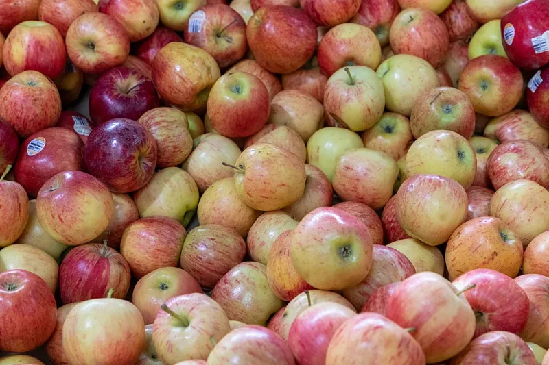 Your Apple Dictionary: 20 Must-Know Terms From the World of Apple Tech